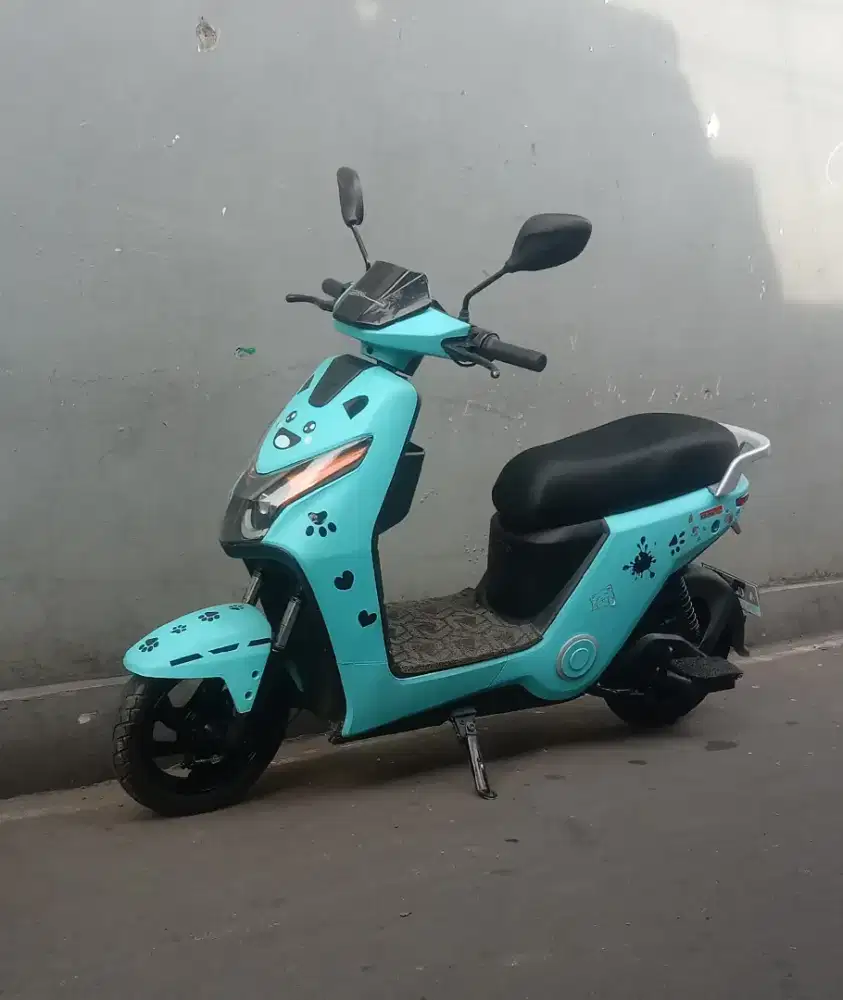 Sepeda listrik win fly ada adanya