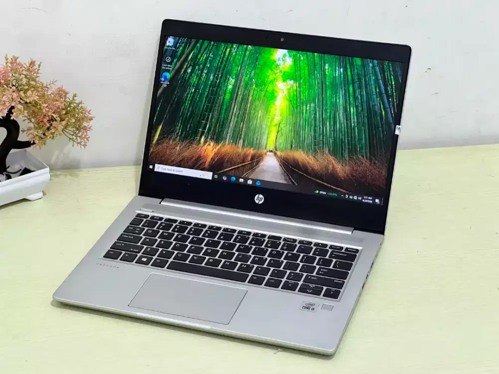 HP ProBook 439 G7