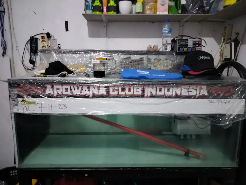 Aquarium x arawana