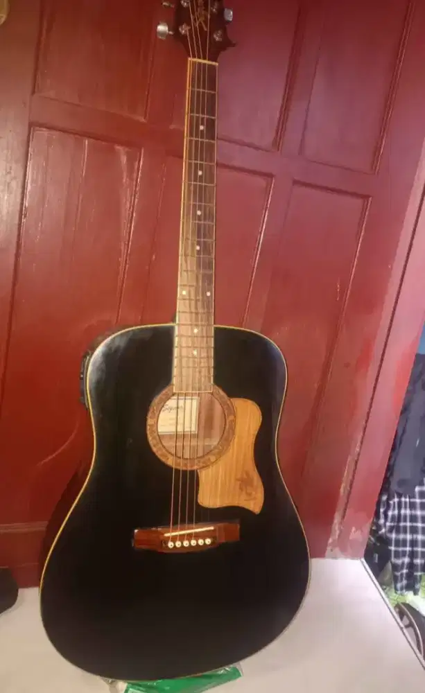 Gitar akustik elektrik SEGOVIA D-W07 GN