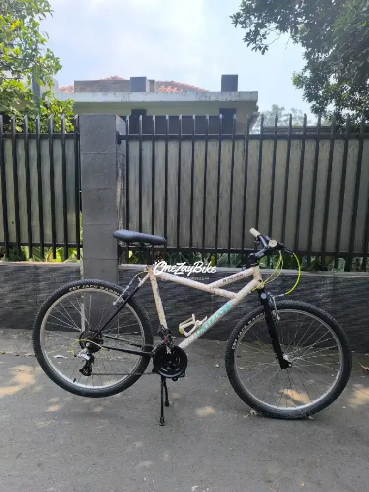 CANONNDALE DELTA V300 CUSTOM ADA KODE SN
