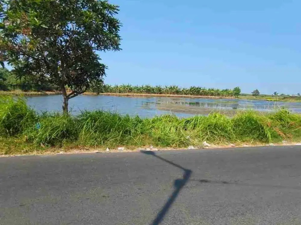 Tanah Tambak Murah di Jalan Raya Tambak Oso, Waru, Sda