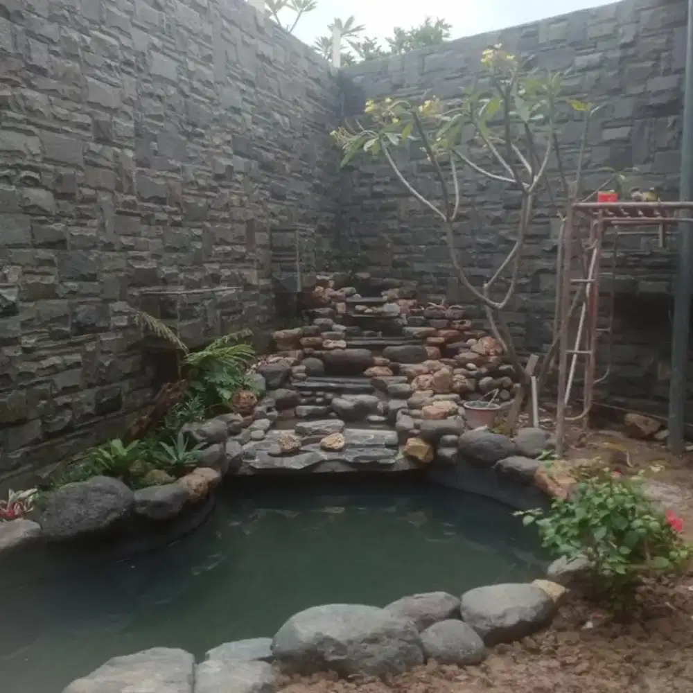 Pembuatan kolam koi natural minimalis