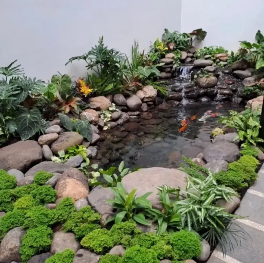 Tukang kolam koi relif batu natural