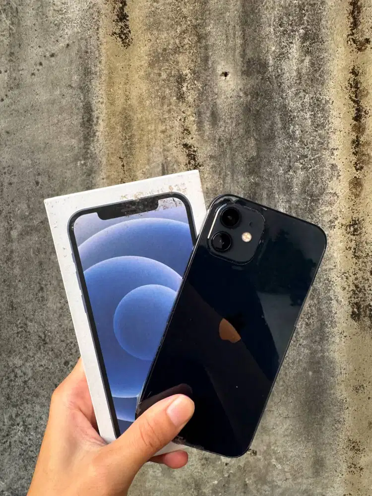 Iphone Ip 12 128 GB Inter All Operator