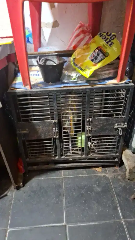 kandang bekas
Lokasi jakarta