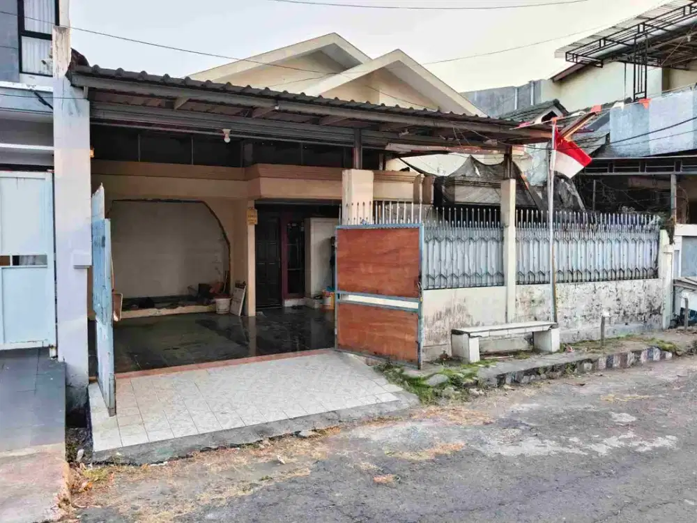 PALEM POCAN MURAH MERIAH