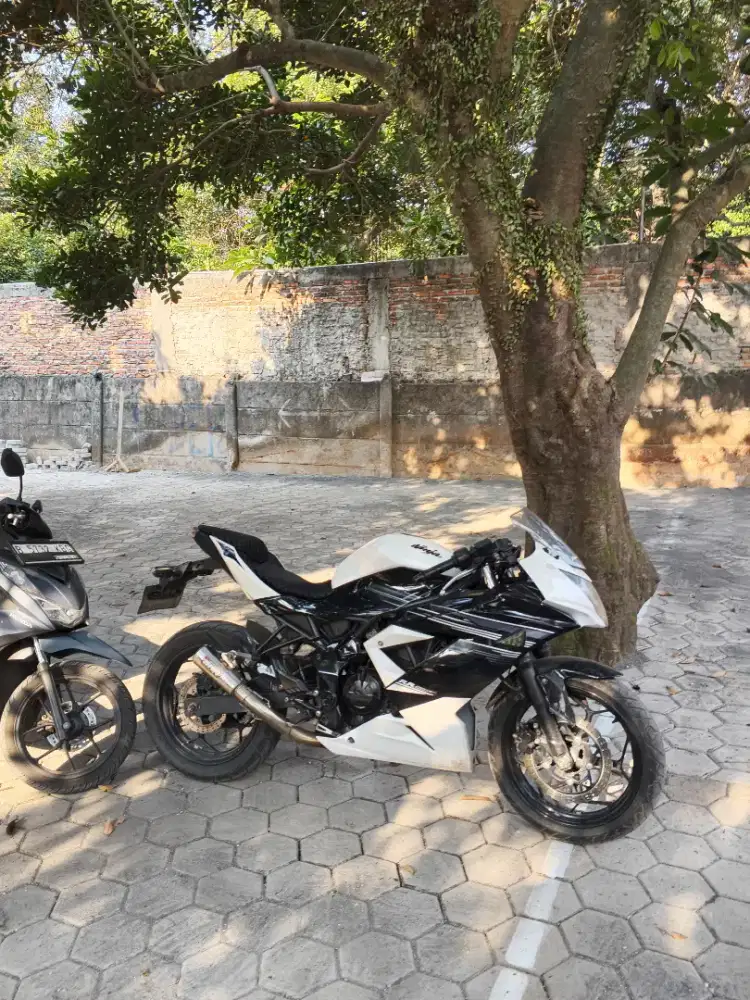 NINJA MONO 250 (2015)