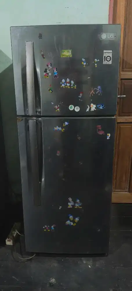 Kulkas 2 pintu LG nominus