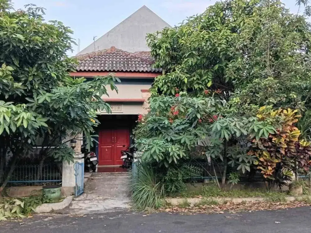 Rumah Pojok Bumi Palapa Luas 187 Tunggulwulung Saxofon Dkt Suhat