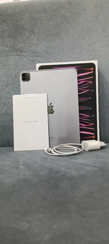 iPad pro m2 256 wifi only 11 inch