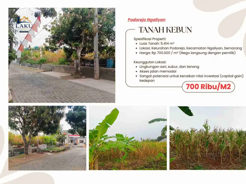 Tanah Kebun Luas 5414 m² di Podorejo Ngaliyan - Cocok untuk Investasi/Agrowisata