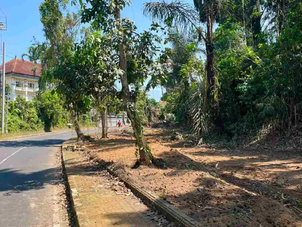 Di jual tanah kavling jalan raya Petang , Badung, Bali