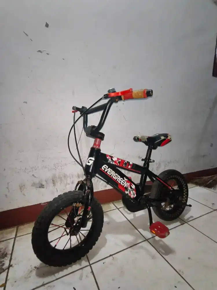 Sepeda Anak 12 Evergreen Bekas