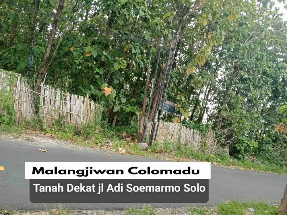 tanah Malangjiwan Colomadu 20 meter ke jl Adi Soemarmo