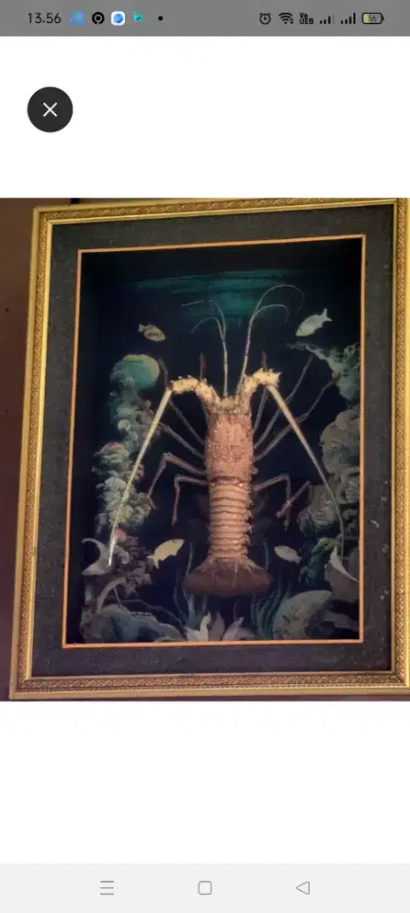Hiasan dinding Lobster Asli