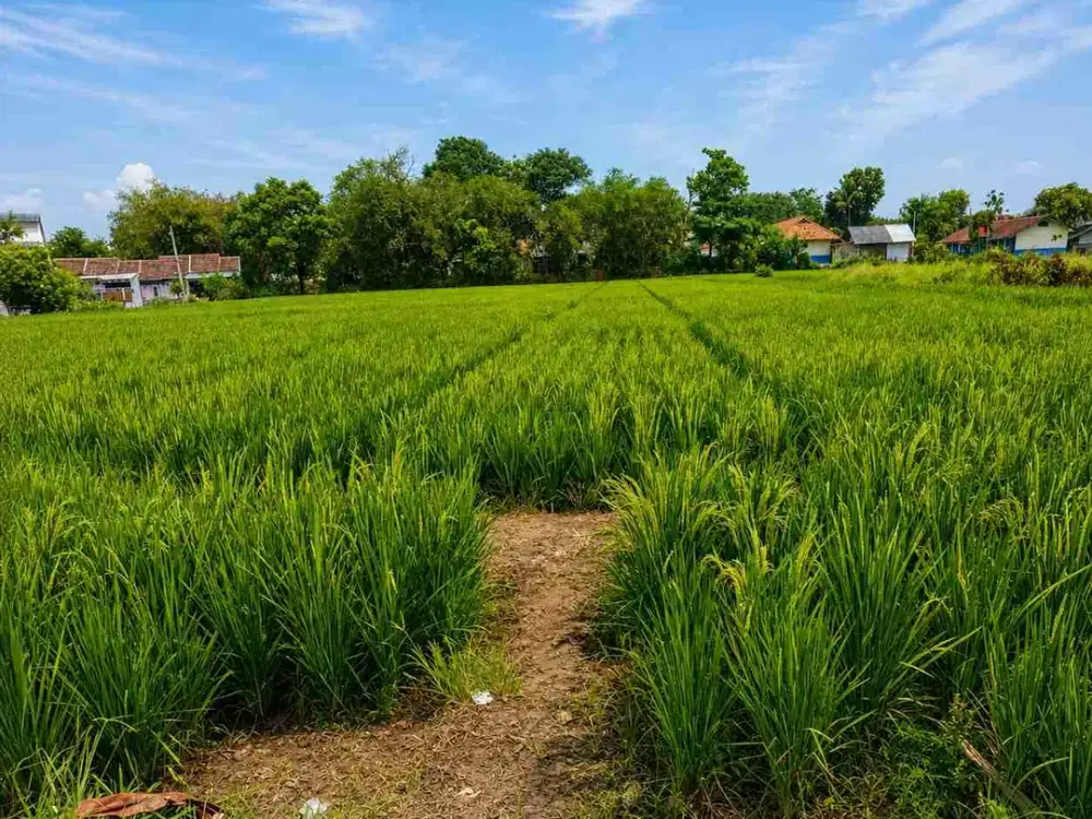 DIJUAL – Lahan Zona Kuning 500m ke Stasiun Kosambi & Dekat Tol