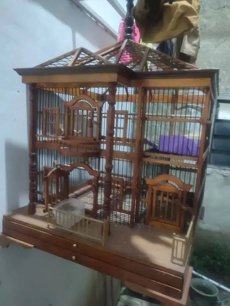Kandang hias model rumah
