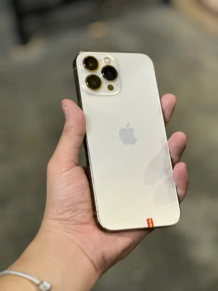 Iphone 13 promax 256 gb