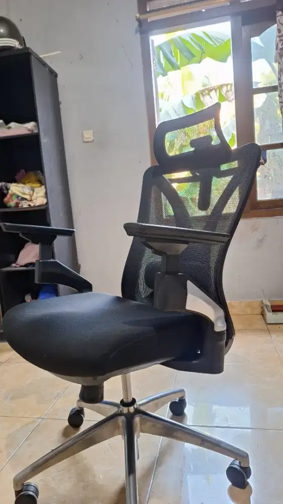 Pexio Taylor Ergonomic Chair