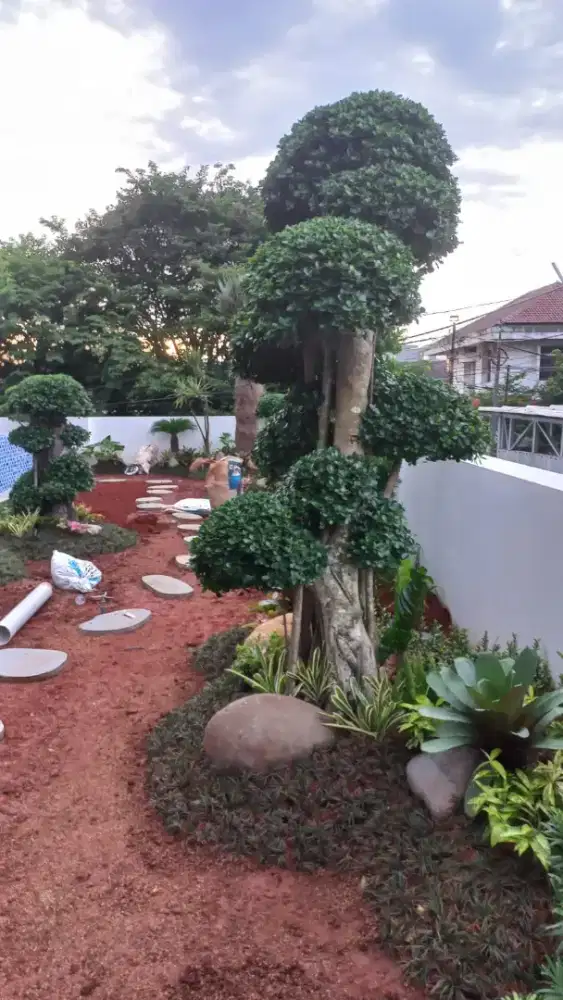 Jasa pemasangan taman