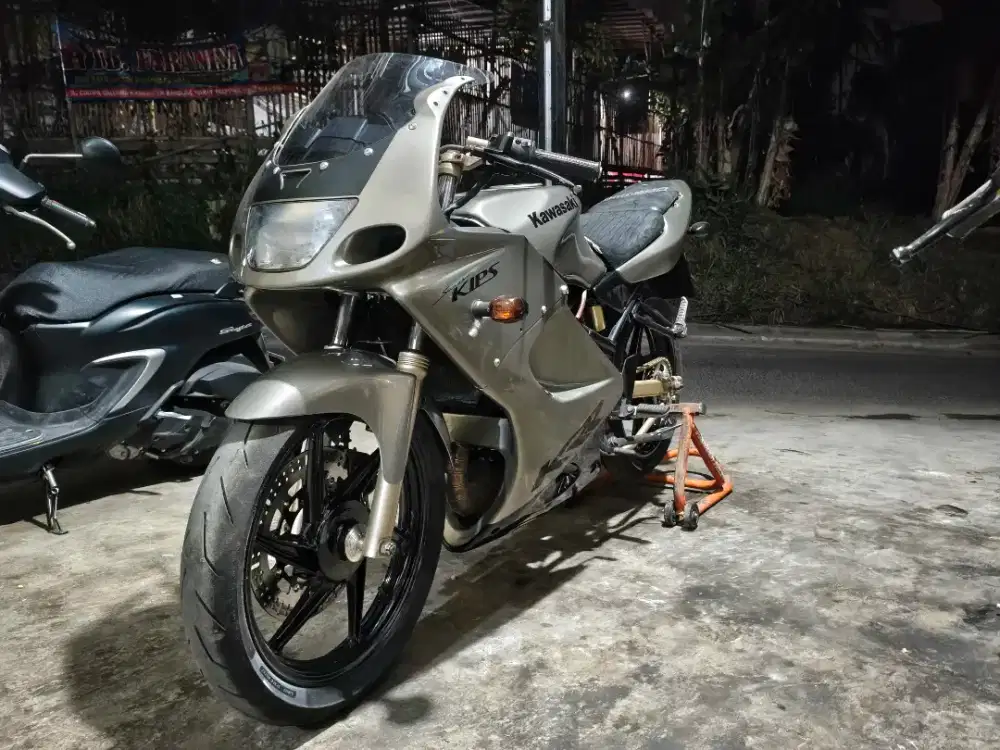 Ninja rr old 2006