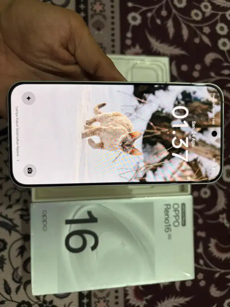 OPPO Reno 16 5G series