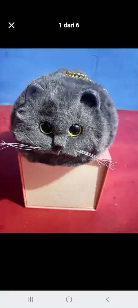 Tas import kucing lucu