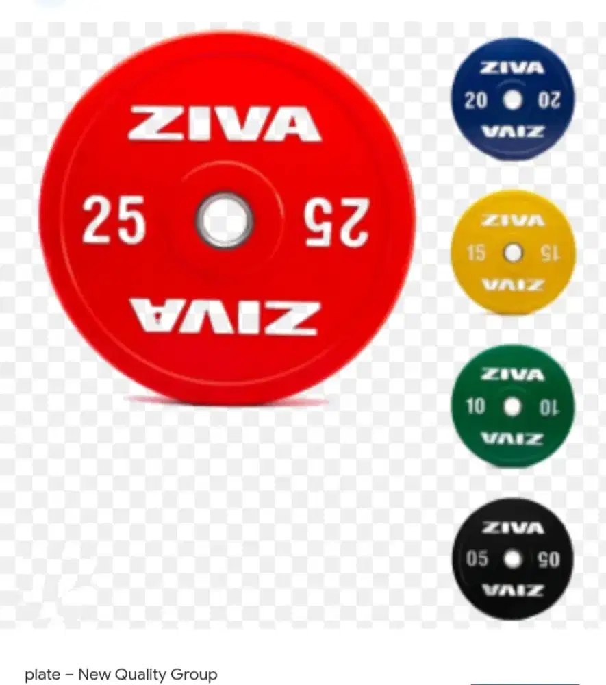Alat Olahraga Angkat Beban Fitness Ziva Color Bumper Plate Set 5-25Kg