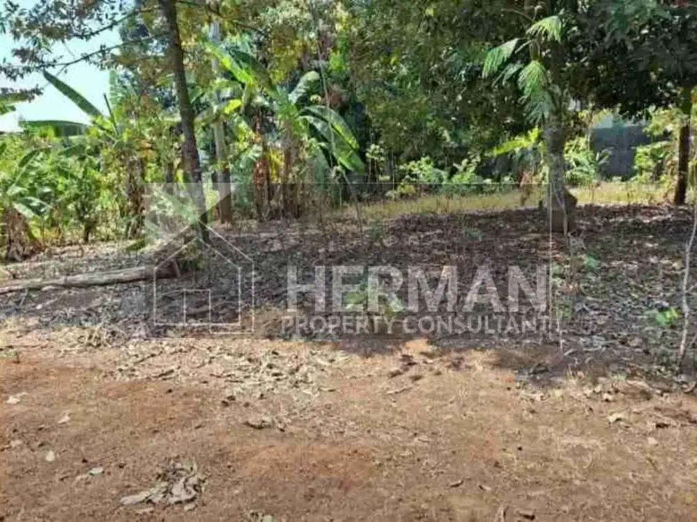 Tanah Tembalang Bulusan Undip