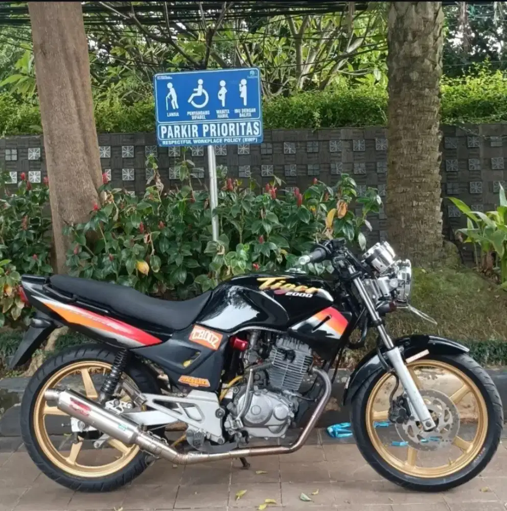 Hoda Tiger 2000