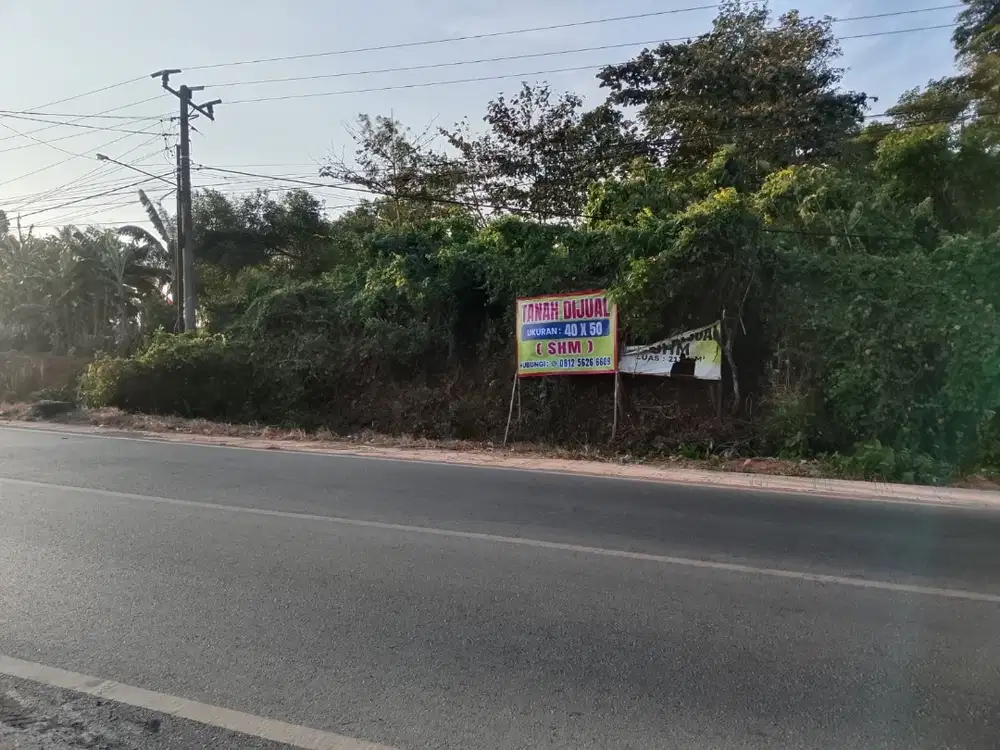 DIJUAL MURAH TANAH STRATEGIS SAMPING JALAN RAYA UTAMA