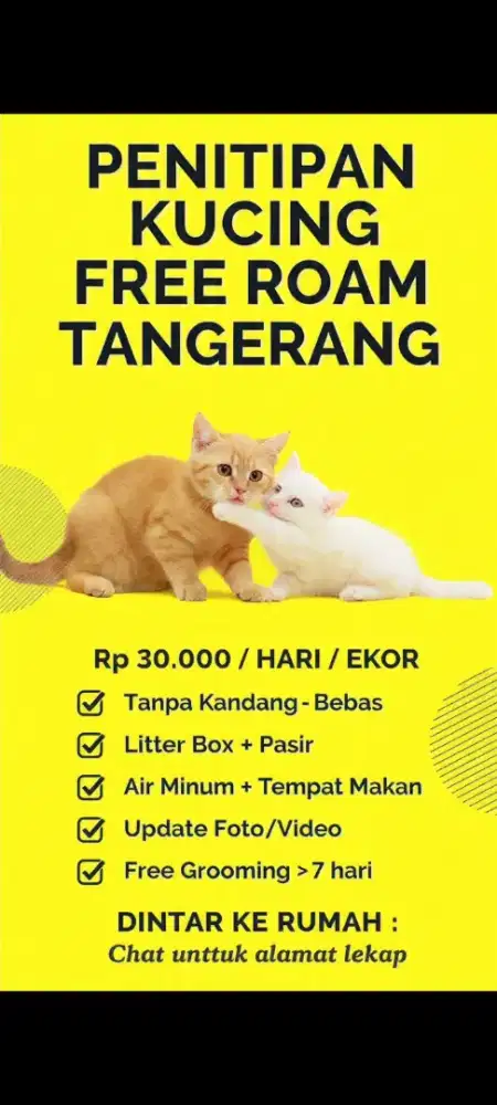 Jasa penitipan kucing