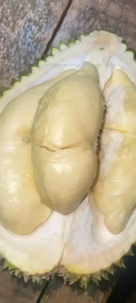 Pelayan toko durian