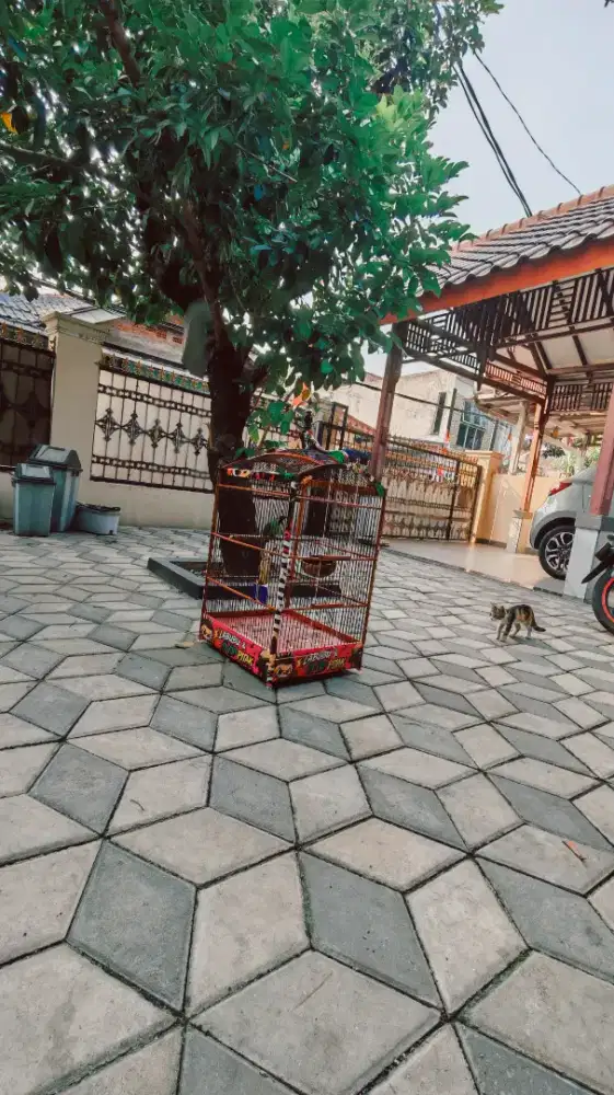 Kandang Burung Kotak No 1
