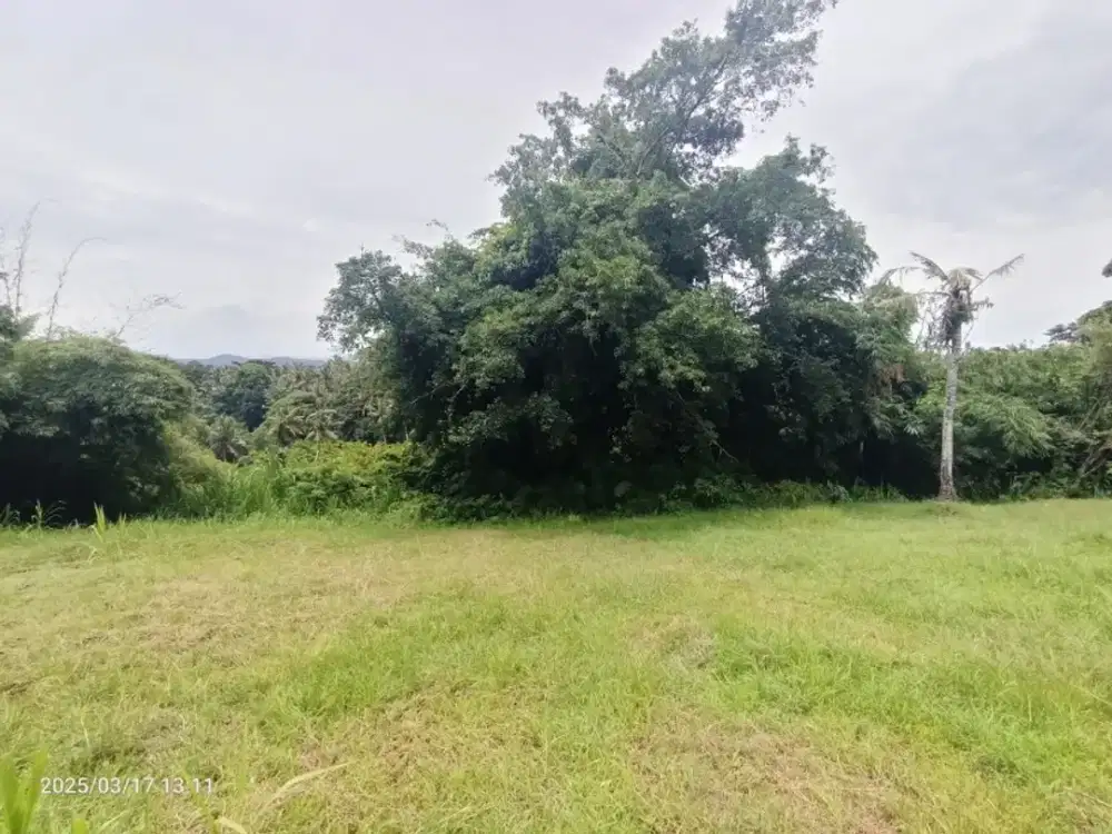 Tanah View Sungai dan Jungle Dekat Pantai Antap Alam Lestari Bali