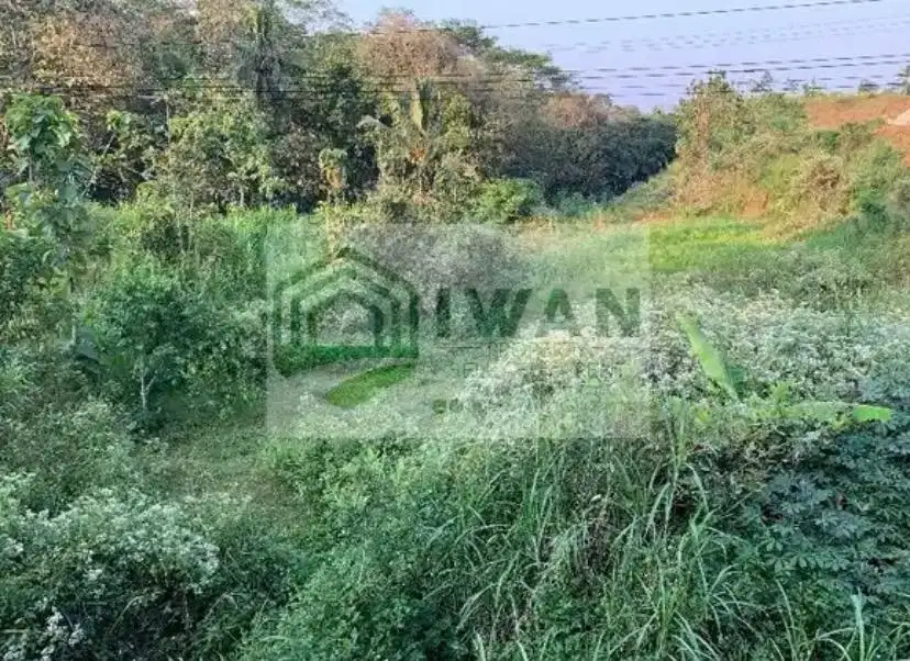 Tanah Luas & Murah Dijalan Raya Solo-Semarang