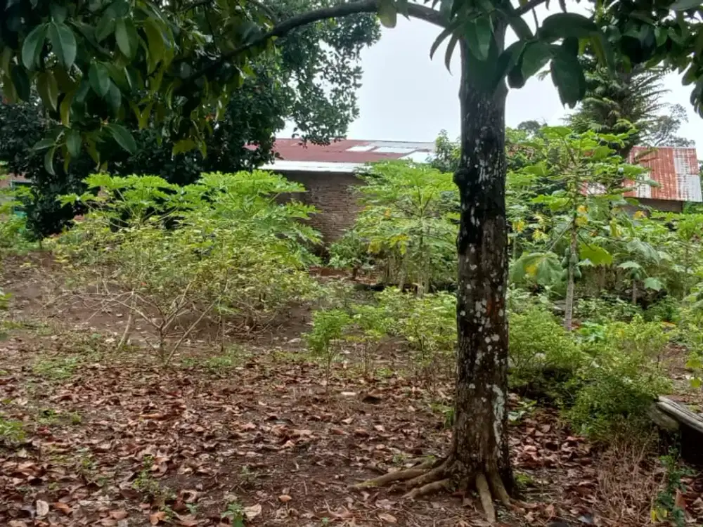 Dijual cepat tanah Pinggir Jalan di Desa Ujung Serdang, TANJUNG MORAWA