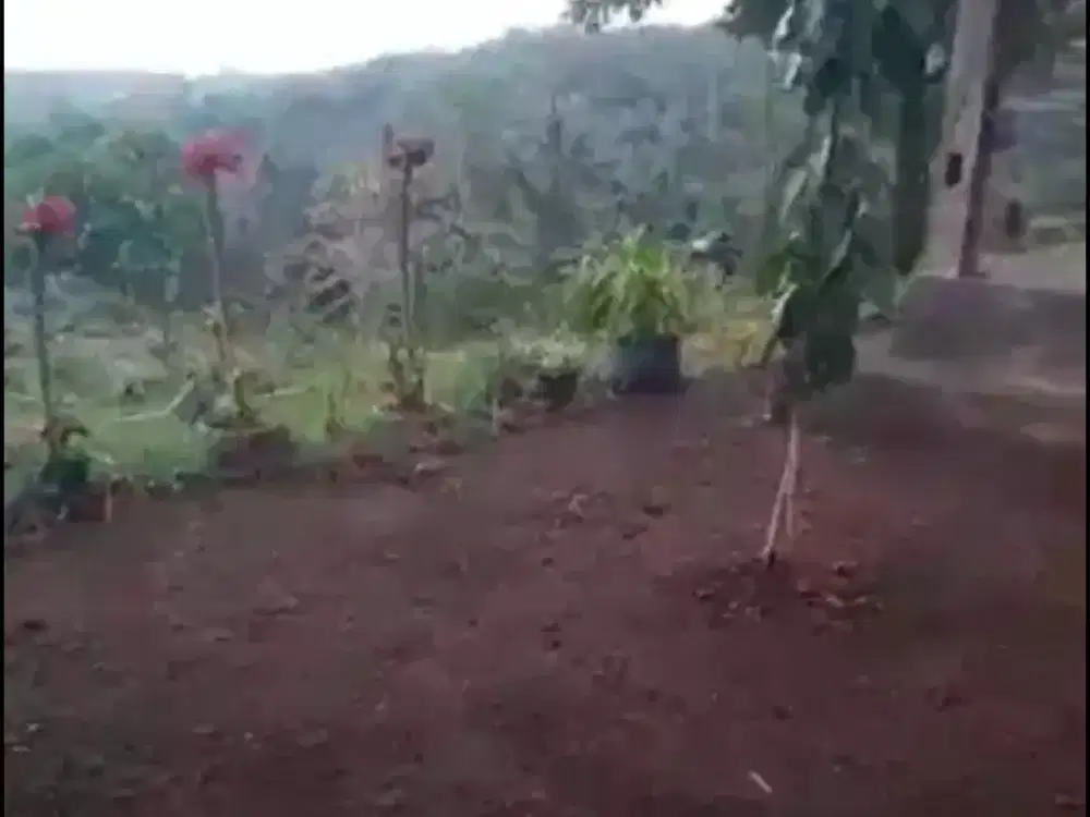Dijual Cepat (BU) Tanah Premium Murah depan Bandara Bali Utara