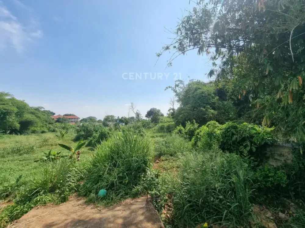 Tanah 7000m Murah Cocok Untuk Perumahan Dekat Stasiun KRL