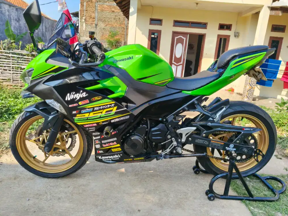 Kawasaki Ninja F1 250 2018 KRT