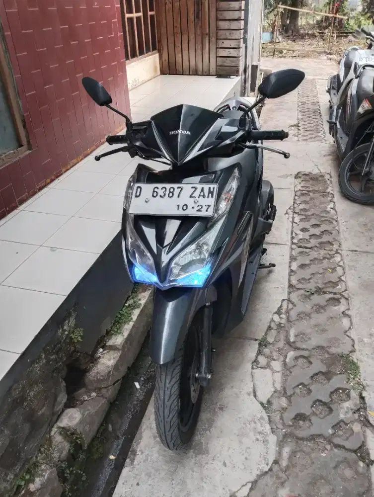 vario 125 mulus
