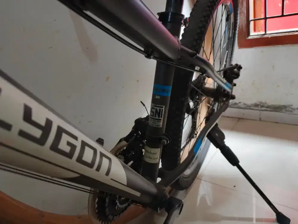 Sepeda polygon thunder Jr 24'