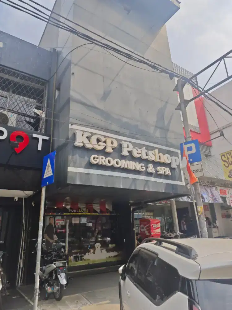 Groomer anjing Dan kucing