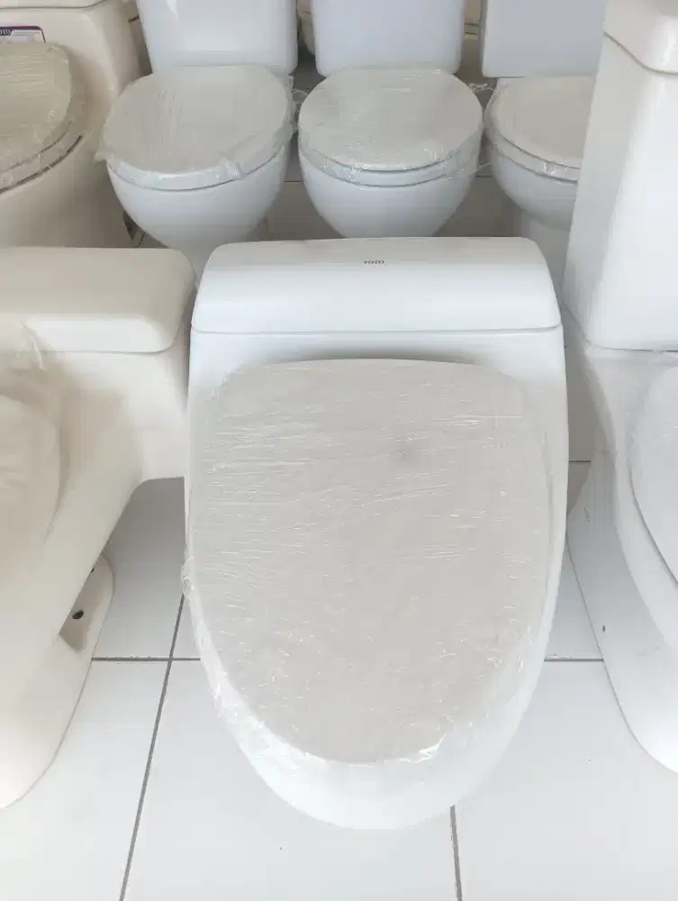 kloset duduk Toto model push lengkap tinggal pasang