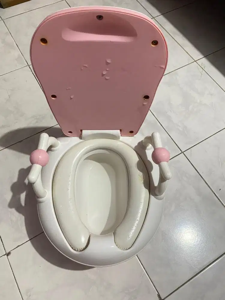 Toilet Training