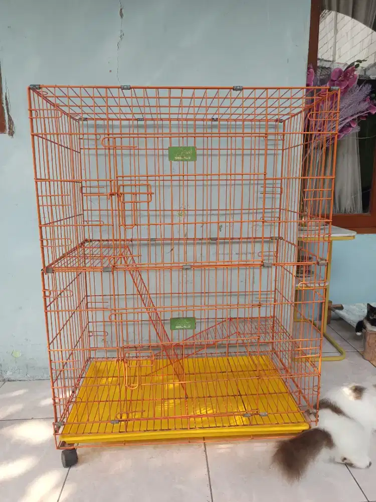 Kandang kucing ukuran P 77XL46X100cm