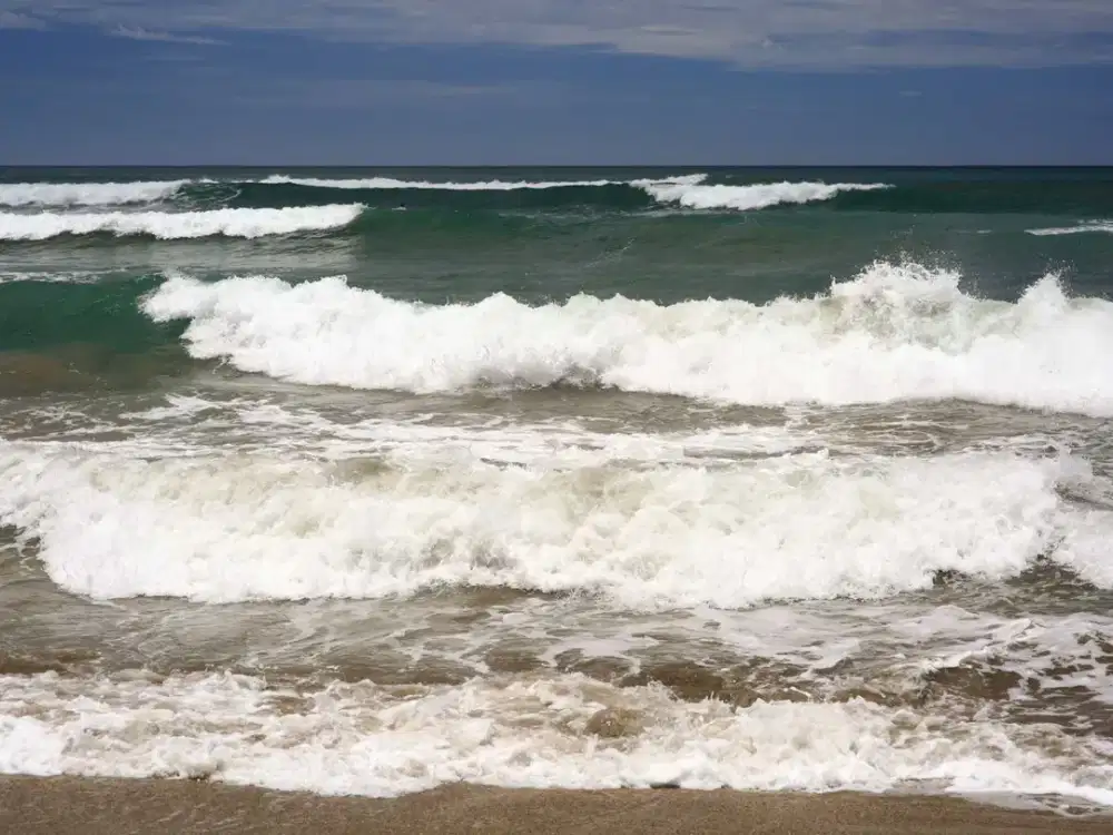DI JUAL CEPAT TANAH PANTAI DI MAMBORO, SUMBA TENGAH (vn)