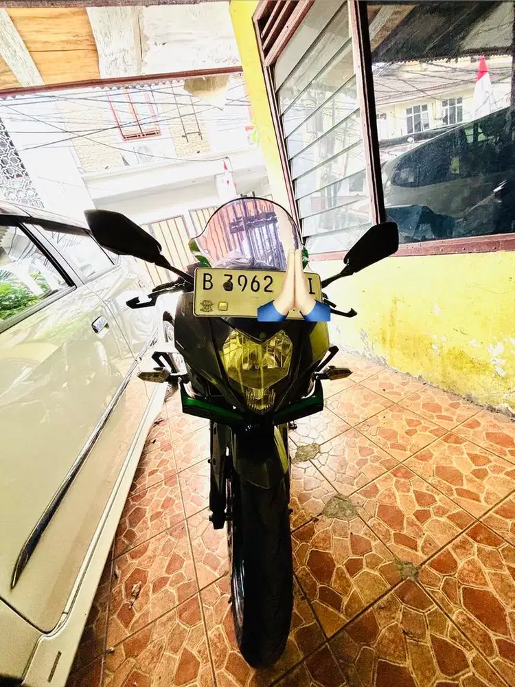 Ninja 250 SL Mono 2017