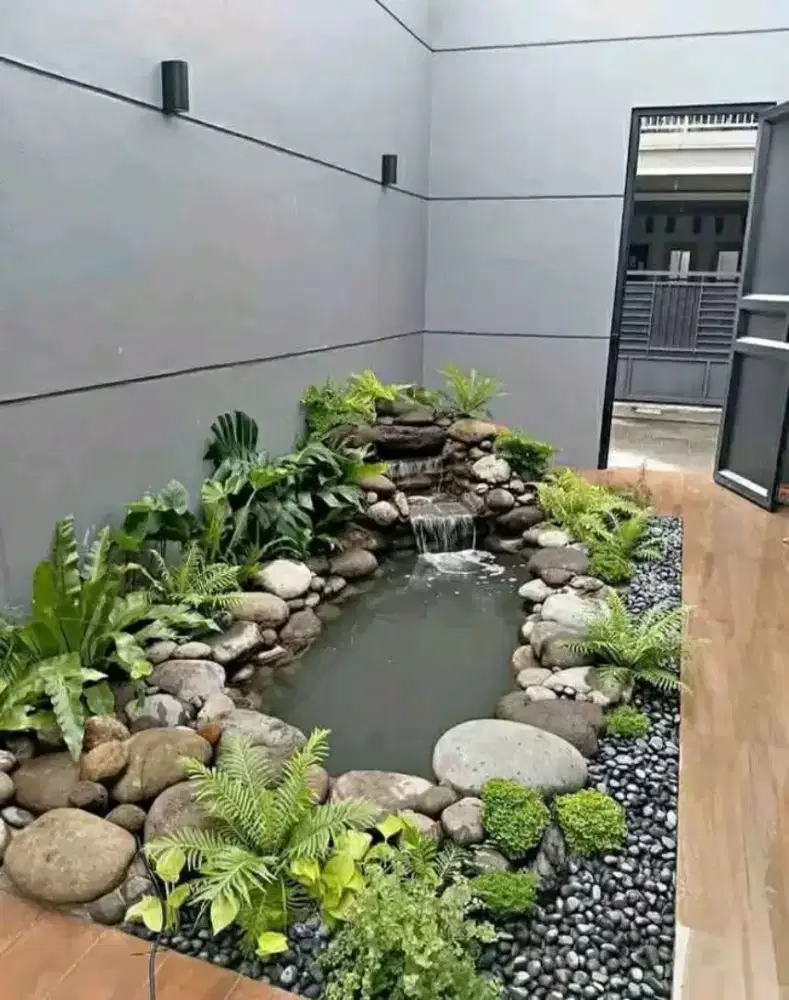 Kolam koi natural